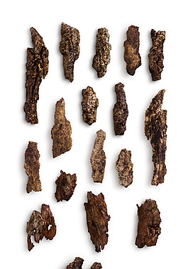 唯美树皮枯木素材
