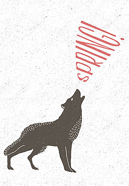 手绘狼插画