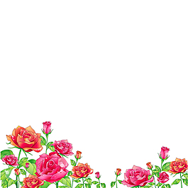 手绘花朵