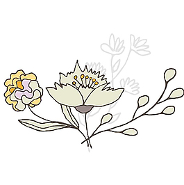 植物花纹花边