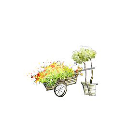 小推车花朵