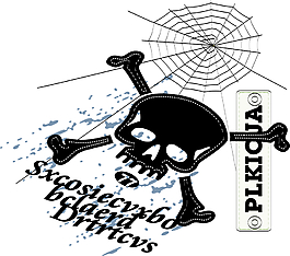 矢量骷髅剪影蜘蛛网图案