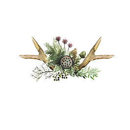 花纹花卉花边元素