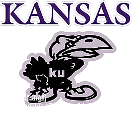 卡通鸟类花纹图案