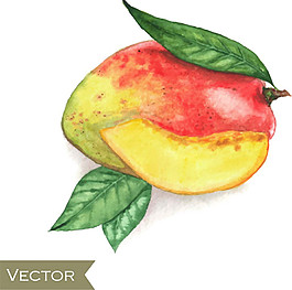 手绘水彩桃子矢量素材下载
