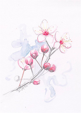 花朵发饰设计图