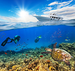 海龟潜水员海底风光图片