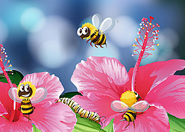 蜜蜂在花朵上采蜜插图