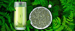 绿茶草地背景海报