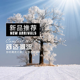 冬季素材榕树淘宝产品主图模板素材