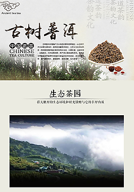 古树普洱茶详情页