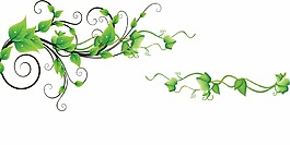 花草藤蔓素材