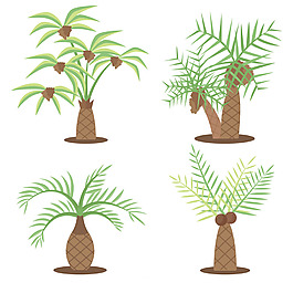 各种类型棕榈树插图