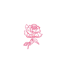 手绘玫瑰花