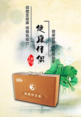 中国风健康伴侣宣传海报