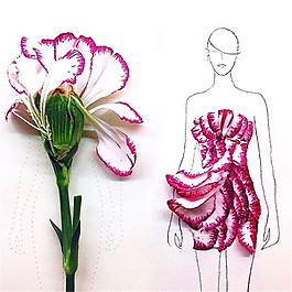 花瓣抹胸裙设计灵感图