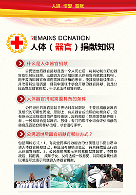 红十字捐献