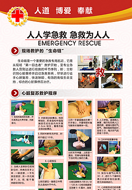 红十字应急救护展板