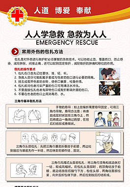 红十字应急救护展板