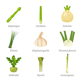 写实风格蔬菜插图集合