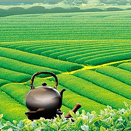 清香茶园背景素材