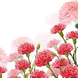 鲜花花卉母亲节