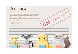 量身高的猫咪图片