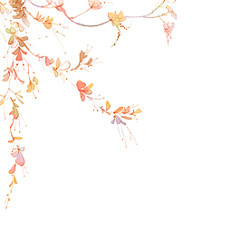 唯美花朵
