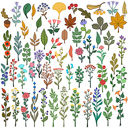 各种鲜花绿叶插图集合