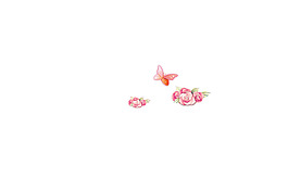 花 蝴蝶 素材