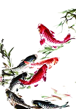 中国风水墨鱼EPS