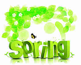 花叶蝴蝶SPRING绿色立体字