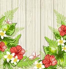 热带花朵边框