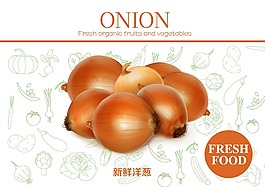 新鲜洋葱素材
