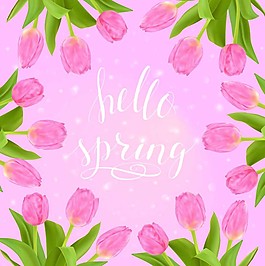 粉色郁金香边框