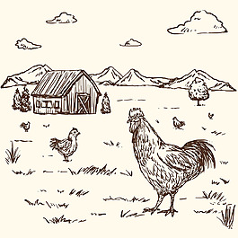 素描风格公鸡农场背景