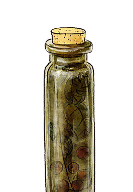 瓶子 高质量手绘插画素材psd文件