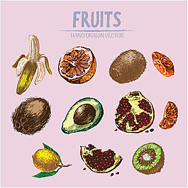 各种手绘水果插图矢量素材