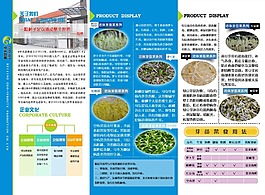 芽苗菜宣传单