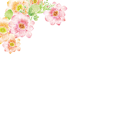 唯美清新粉色花朵