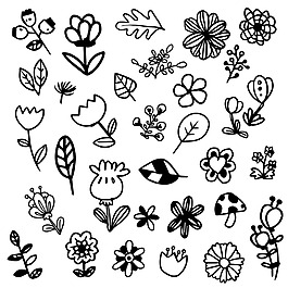 黑白鲜花插图集合