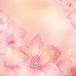 花朵线条淡橘色背景素材