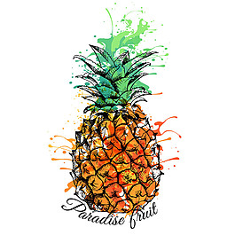 水彩喷溅菠萝图片