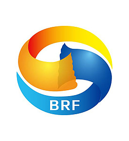 BRF标志设计