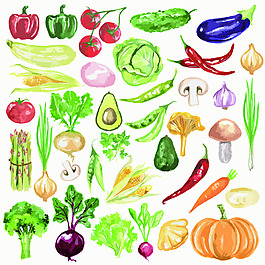 蔬菜西红柿花椰菜素描手绘水果 矢量图
