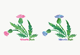 手绘水彩花朵花卉