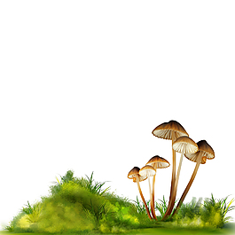 蘑菇草丛
