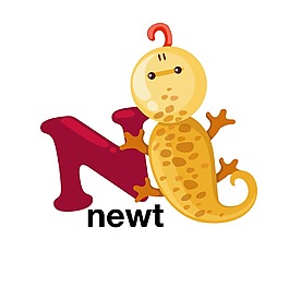矢量英文字母N
