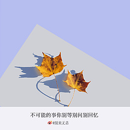别回忆
