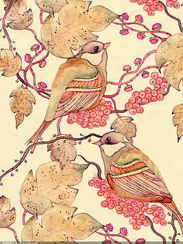 卡通花枝上的小鸟图片